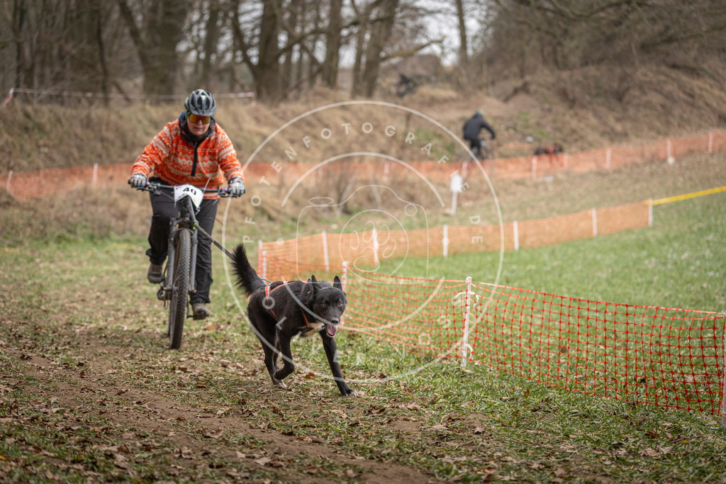 Pfotenfotografie_DV3A0125 | Hundefotografie, Tierfotograf, Pfotenfotografie, Fotoshooting Hund, Hunde Portrait, Hundesport, Hundeportraits, Heideshooting, Hunde, Sportfotograf, Hundefotograf, Turnierhundsport, THS,  - Realisiert mit Pictrs.com