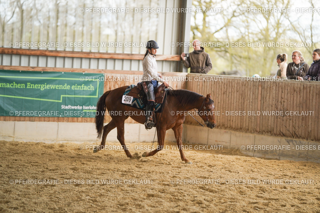 DSC08795 | Pferdegrafie