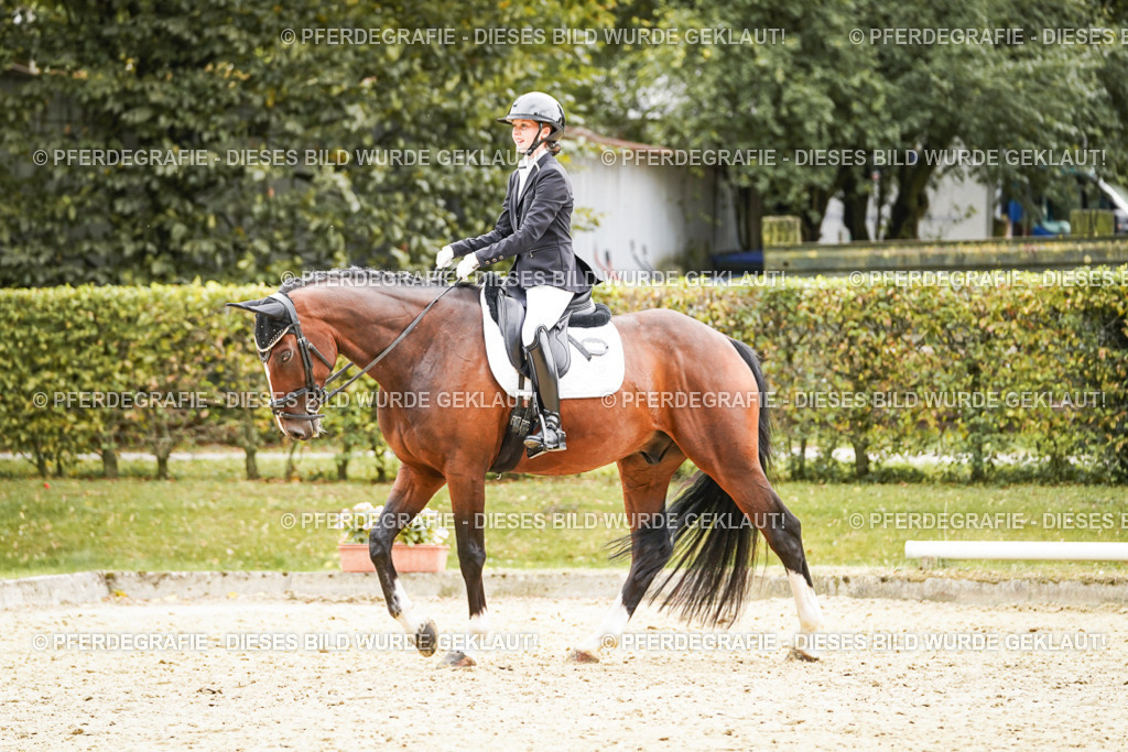 DSC03174 | Pferdegrafie