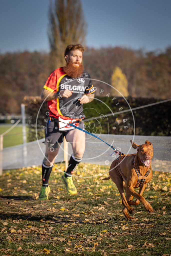 CaniXpix_DV3A0646 | Hundefotografie, Tierfotograf, Pfotenfotografie, Fotoshooting Hund, Hunde Portrait, Hundesport, Hundeportraits, Heideshooting, Hunde, Sportfotograf, Hundefotograf, Turnierhundsport, THS,  - Realisiert mit Pictrs.com