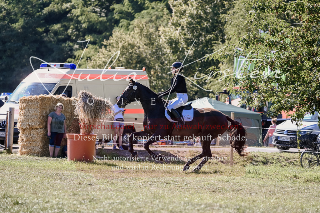 DSC_3429 | Pferde- und Turnierfotografie in Westsachsen. Pferdeportraits, Auftragszeichnungen und intuitive Kunst.