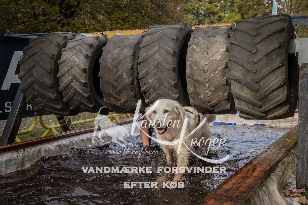 1439_ZZ94716 | kk-dogfotos