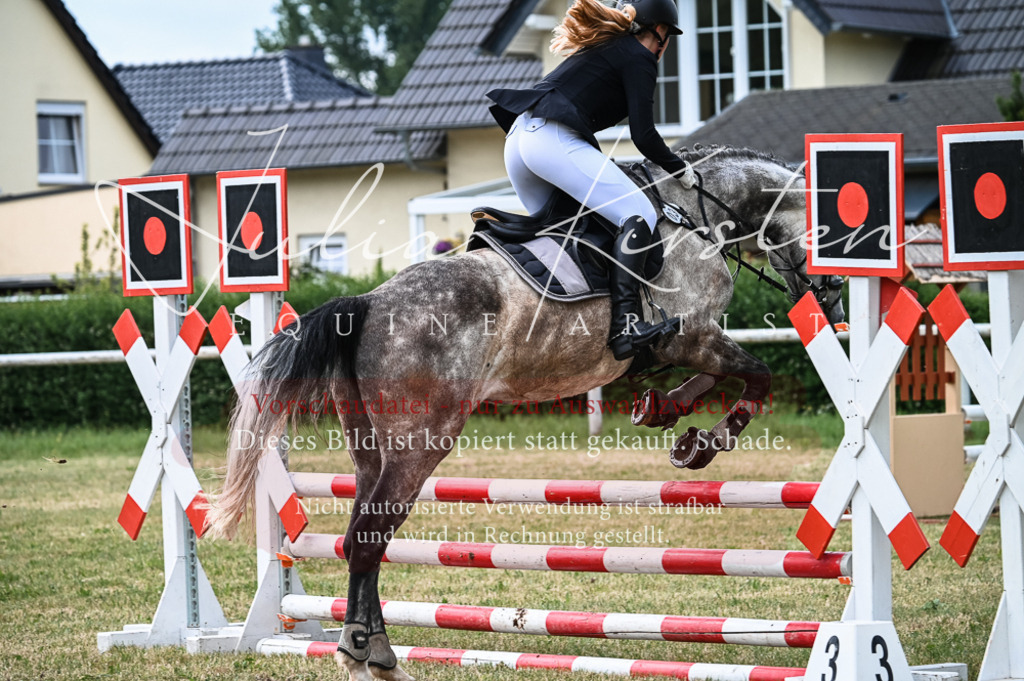 DSC_8368 | Pferde- und Turnierfotografie in Westsachsen. Pferdeportraits, Auftragszeichnungen und intuitive Kunst.