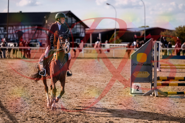 2026_10_03_Siefer-Hof_155735_Z81_77011767 | Professionelle Reitsport-, Turnier- und Eventfotografie von Robert Broda. Galerien mit ausgewählten und bearbeiteten Bildern direkt online ansehen und bestellen.