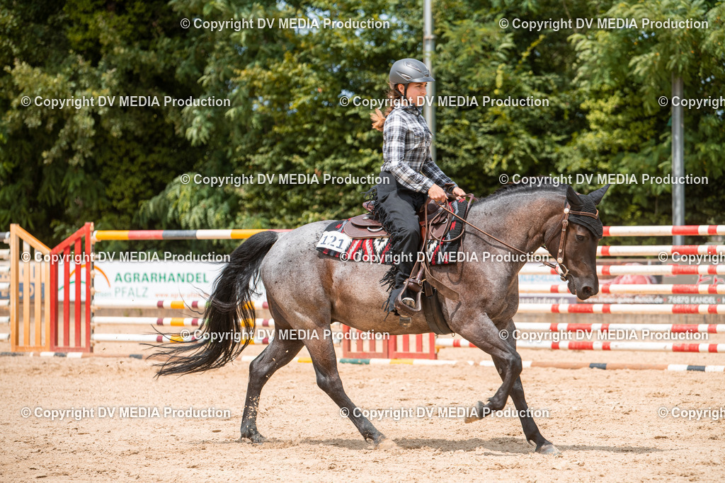 EWP_6316 | dv-media-shop - Realisiert mit Pictrs.com