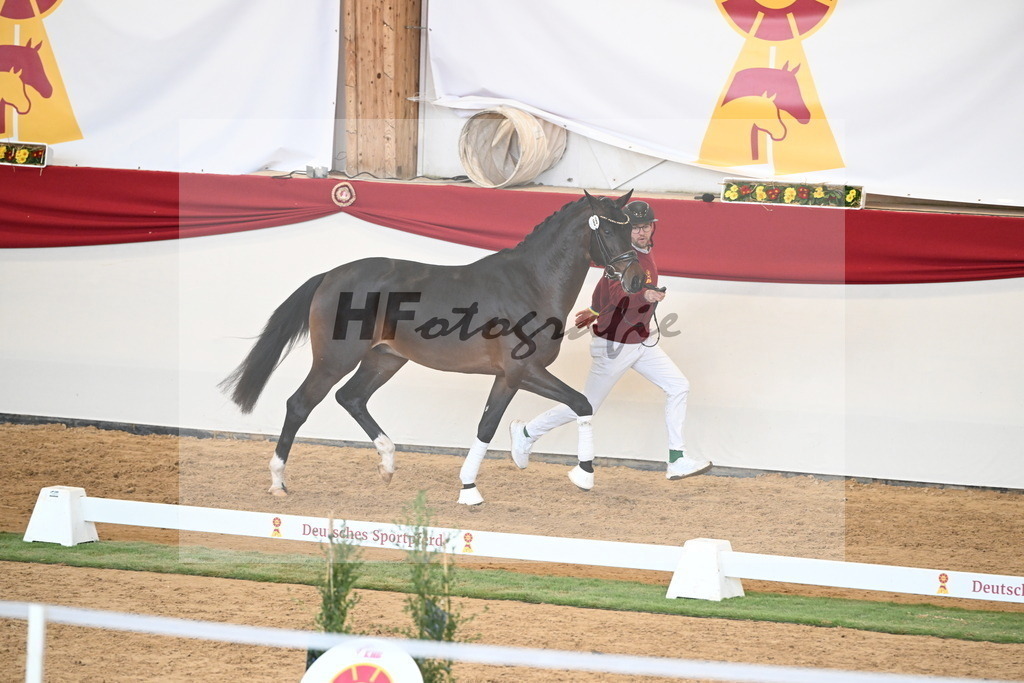 Kat.-Nr. 89 v. Vivaldon_Beckmann_2250842 | hf-fotografie - Realisiert mit Pictrs.com