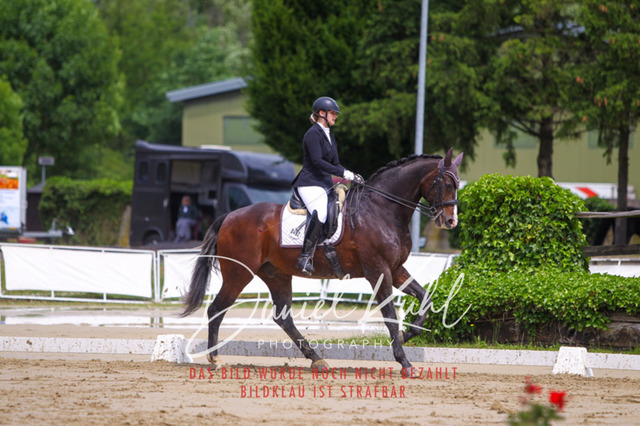 DKP40766 | Turniersportfotografie; Pferdefotografie; Dressurfotografie