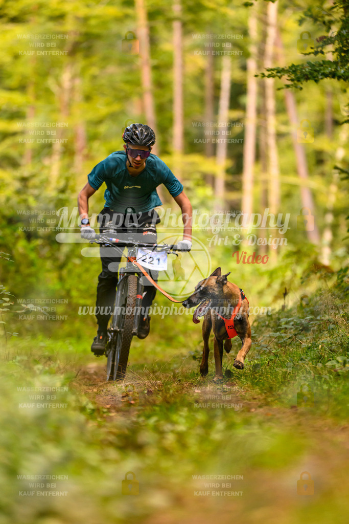 MompixPhotography_Yens2025_B2-133 | PayLife