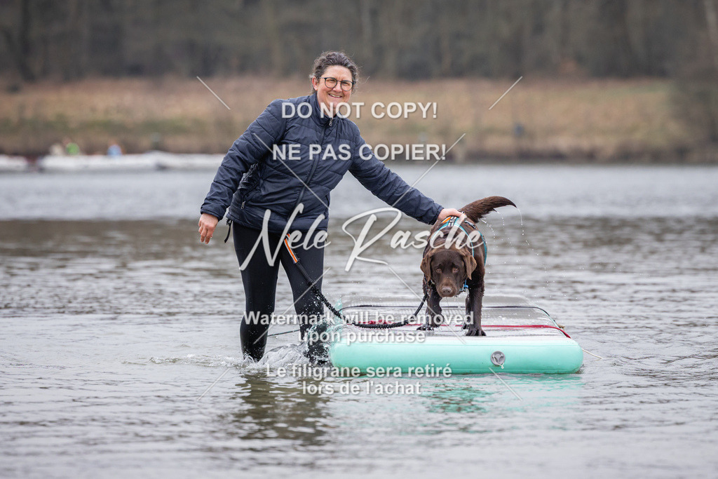nelerasche_Hulsbeek_Sa1515-1600_628 | nelerasche