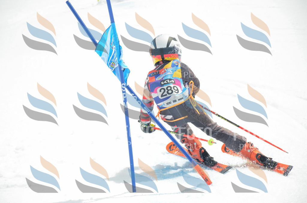 _ELE8080 | holidayphoto