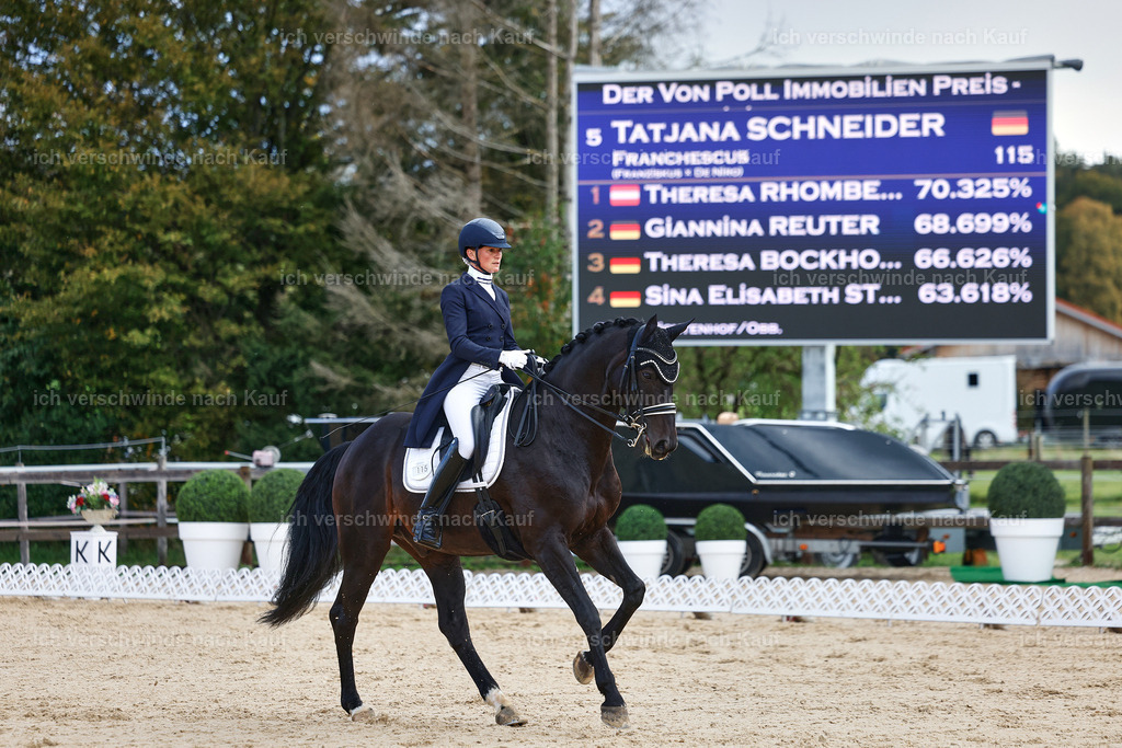10-115-ST.GEORG SPECIAL -StoibPH-3183 | working equitationturnier fotograf videograf stoibphotography marixx film working equitation deutschland reitsport turnierfotografie eventfotografie equestrian events