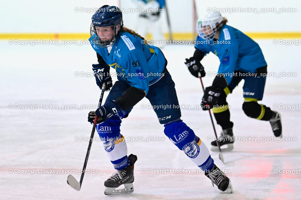 BST_6690 | hockey sports photos, Pressefotos, Sportfotos, hockey247, win 2day icehockeyleague, Handball Austria, Floorball Austria, ÖVV, Kärntner Eishockeyverband, KEHV, KFV, Kärntner Fussballverband, Österreichischer Volleyballverband, Alps Hockey League, ÖFB, 