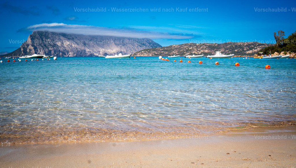 DSC09727-2 | marcuslinek