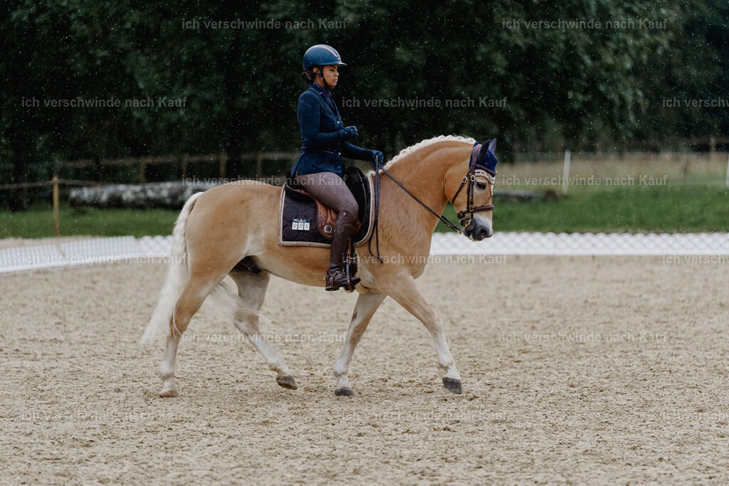 Tanesha5FHC2025-8604 | working equitationturnier fotograf videograf stoibphotography marixx film working equitation deutschland reitsport turnierfotografie eventfotografie equestrian events