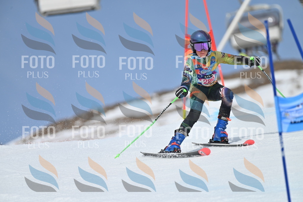 BGV_2528 | holidayphoto