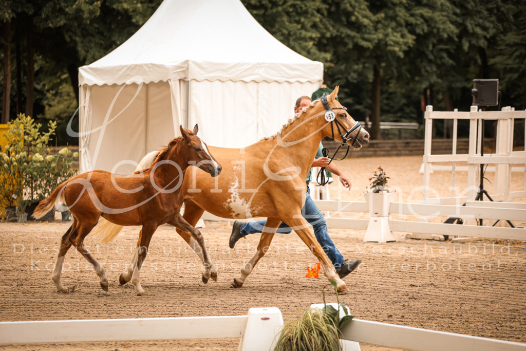 07.So00060 | Leoni Ertmer Photography - Realisiert mit Pictrs.com