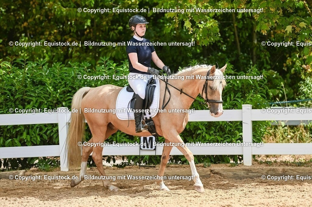 20230715_09_Dressur-WB_0544 | equistock