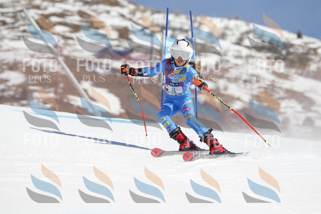 _U3G8628 | holidayphoto