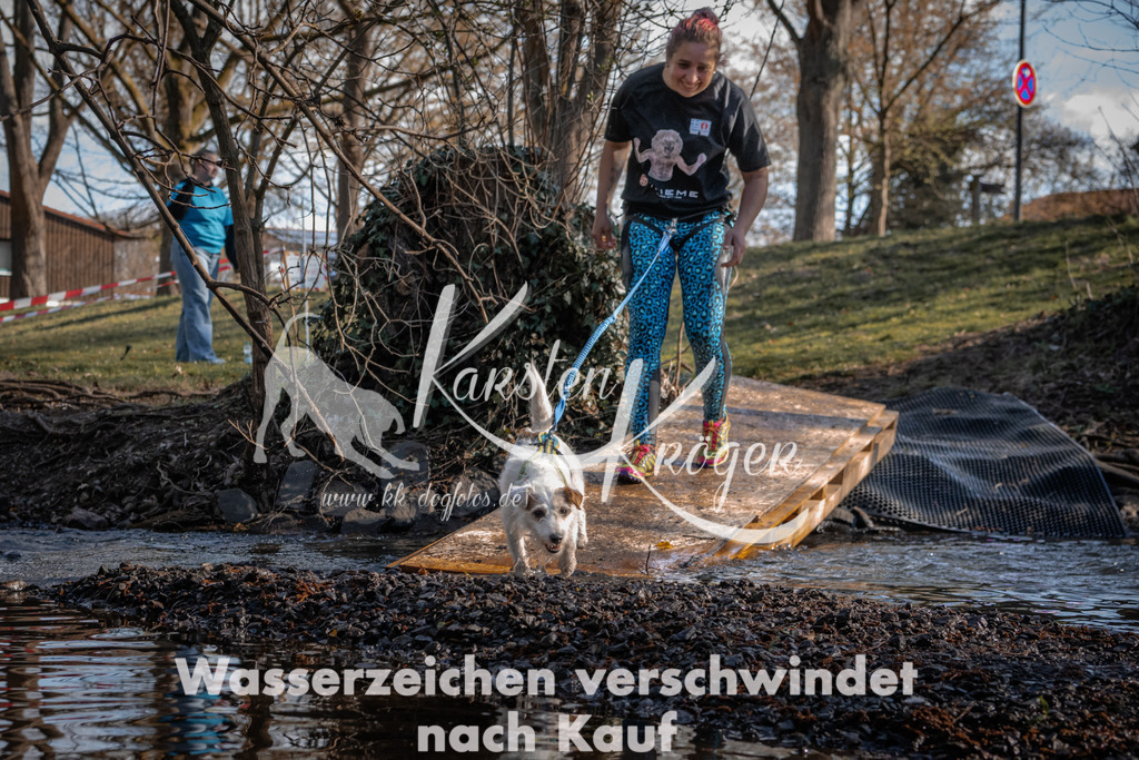 0839_ZZ92814-2 | kk-dogfotos