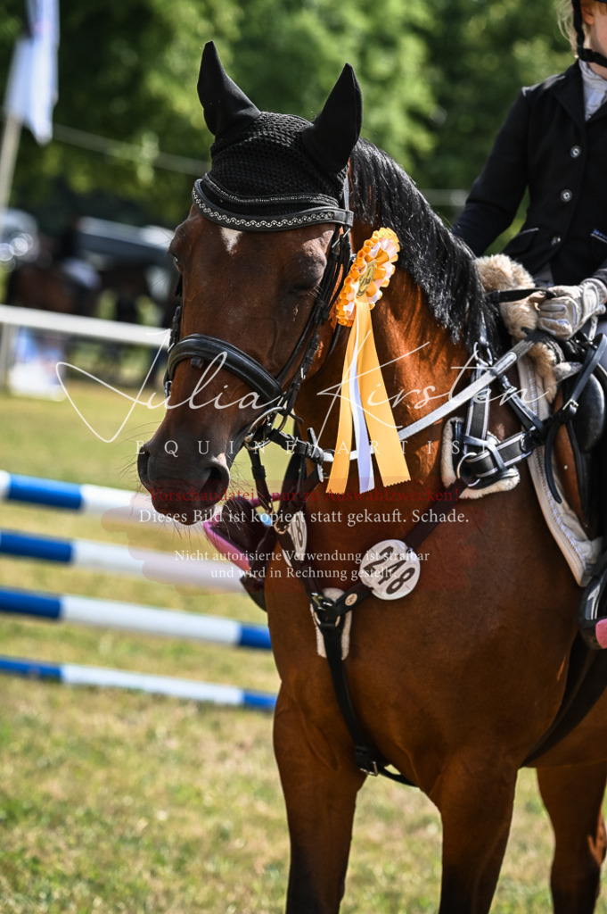 DSC_8602 | Pferde- und Turnierfotografie in Westsachsen. Pferdeportraits, Auftragszeichnungen und intuitive Kunst.