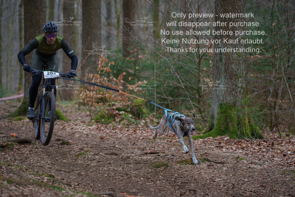 Bike_So-4 | stephaniefillaphotographie - Realisiert mit Pictrs.com