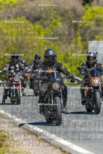MSFotoServiceXXX279 | MSFotoService - Realisiert mit Pictrs.com