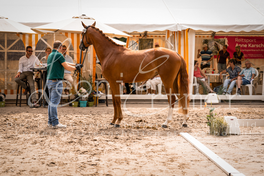 5.Fr00094 | Leoni Ertmer Photography - Realisiert mit Pictrs.com
