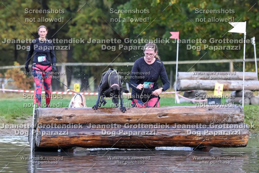 Dog Paparazzi - Strongdog 10-25-6711 | Dog Paparazzi Jeanette Grottendiek Fotografie & Videografie - Realisiert mit Pictrs.com