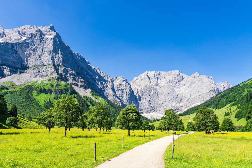 Der Große Ahornboden im Rißtal bei der Eng Alm in Österreich | Der Große Ahornboden im Rißtal bei der Eng Alm in Österreich.