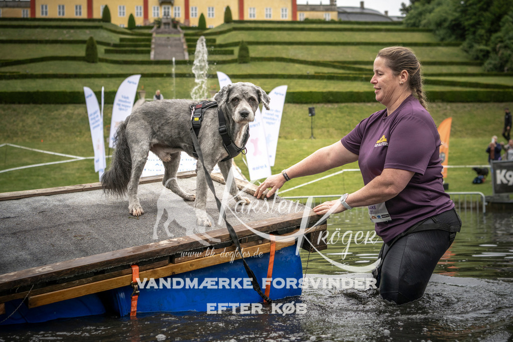 1012_ZZ95031 | kk-dogfotos