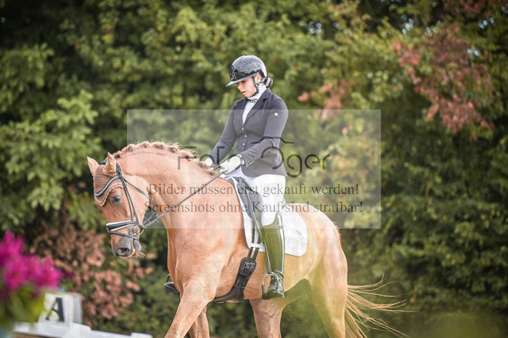 DOS_0595 | Entdecke hochwertige Reitturnierfotos von Foto Oger. Professionell, emotional und authentisch – jetzt Lieblingsmomente im Shop bestellen.Deutschlandweite Turnierfotografie. - Realisiert mit Pictrs.com