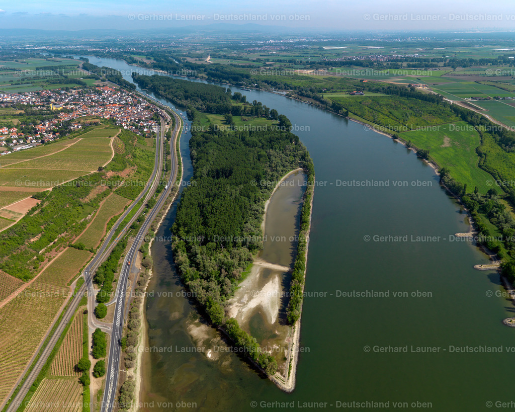 3134048 | Rheininsel Kisselwörth bei Nackenheim