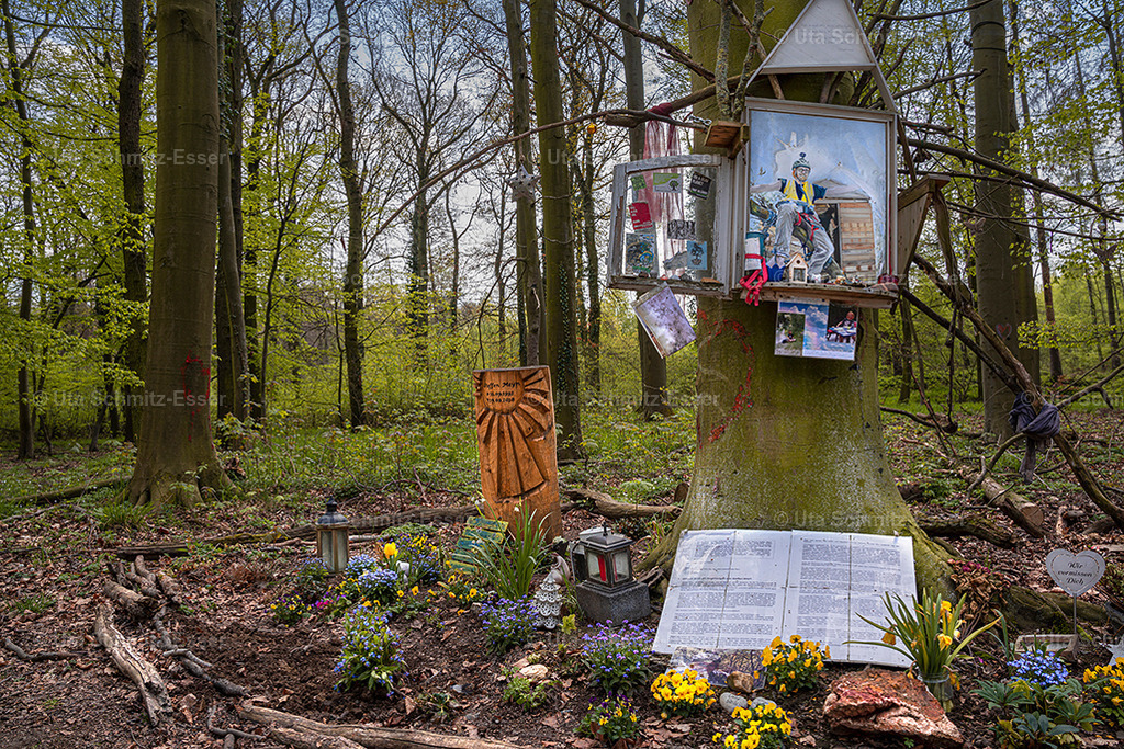 Hambacher Forst- Steffen-Meyn-Memorial | CEUS Design - Realisiert mit Pictrs.com