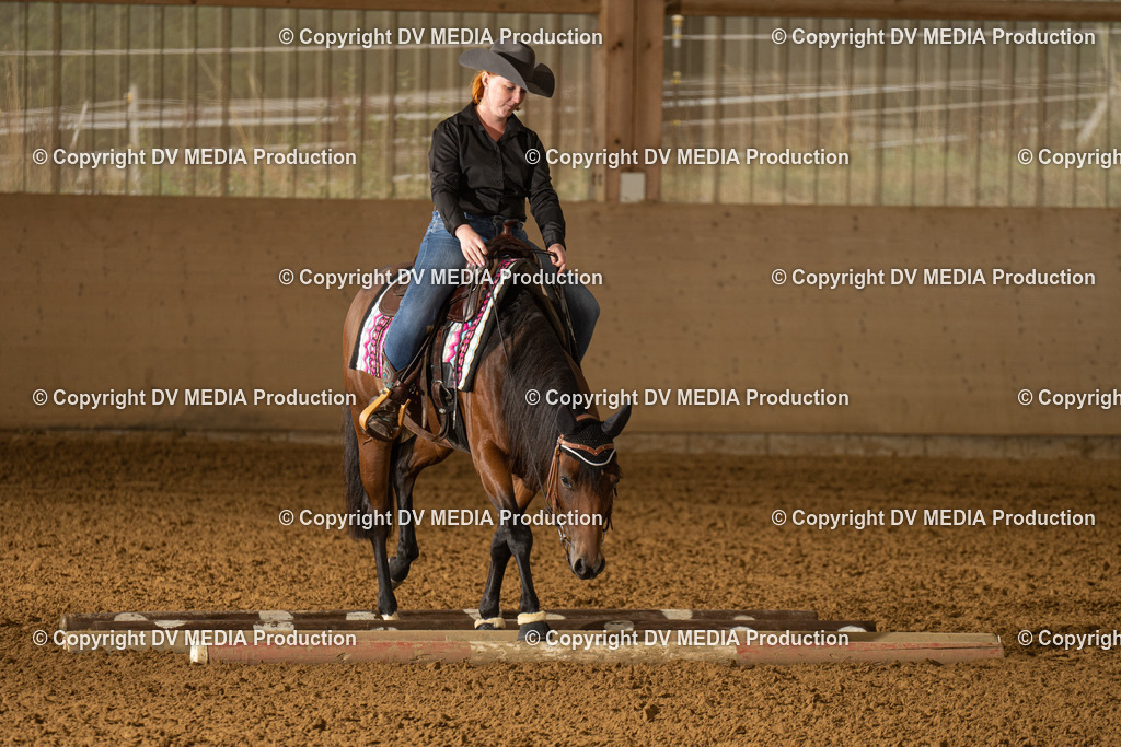 LAU00553 | dv-media-shop - Realisiert mit Pictrs.com