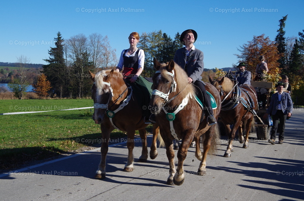 IMGP8012 | fotografiert von Axel PollmannLeonhardi Wallfahrt Benediktbeuern und Murnau, Fronleichnam, Fasching, Landschaft im Loisachtal und Benediktbeuern  - Realisiert mit Pictrs.com