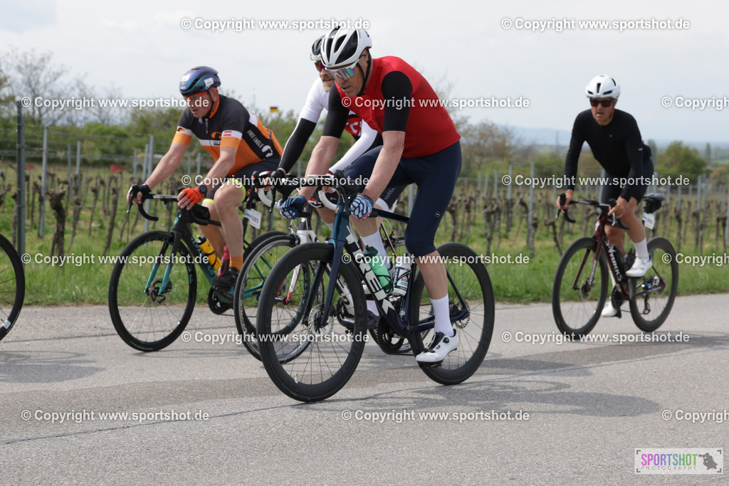 368A5011 | Neusiedlersee Radmarathon 2026@sportshot_your_pictrs #yourpictures#roadtowm2029 #nrm #neusiedlerseeradmarathon #neusiedlersee #neusiedlerseetourismus #burgenland #mörbisch #nrm26 #burgenlandtourismus #voglundco #poweredbyburgenlandtourismus #radsport #rad #marathon #ucigranfondo #visitburgenland #ucigranfondoworldseries