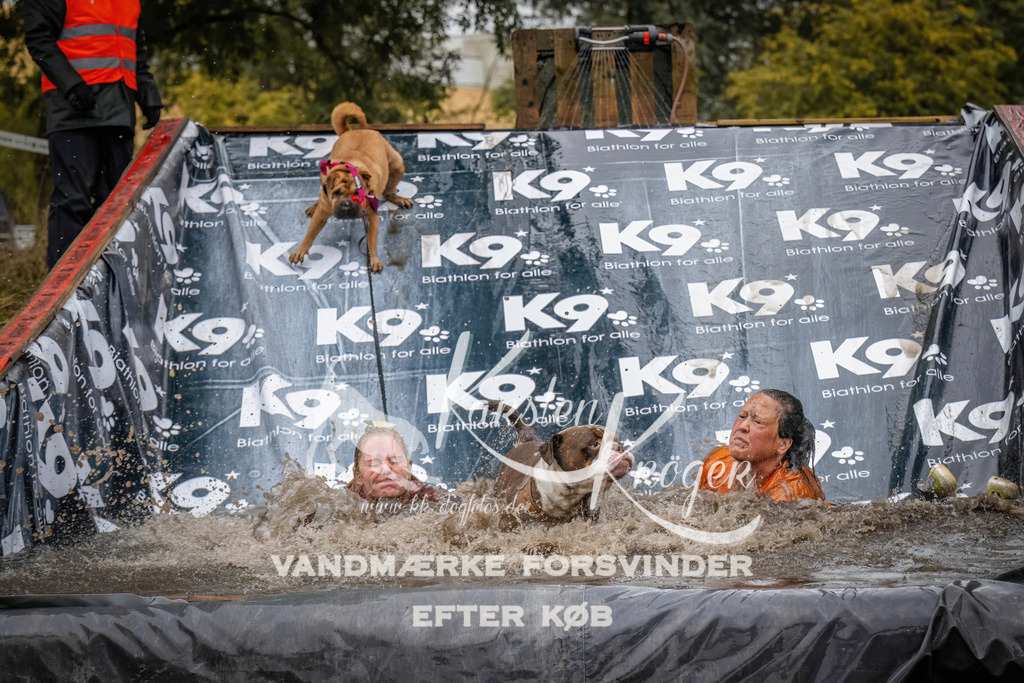 1237_ZZ90321 | kk-dogfotos
