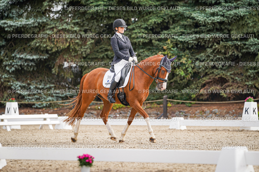 DSC01727 | Pferdegrafie