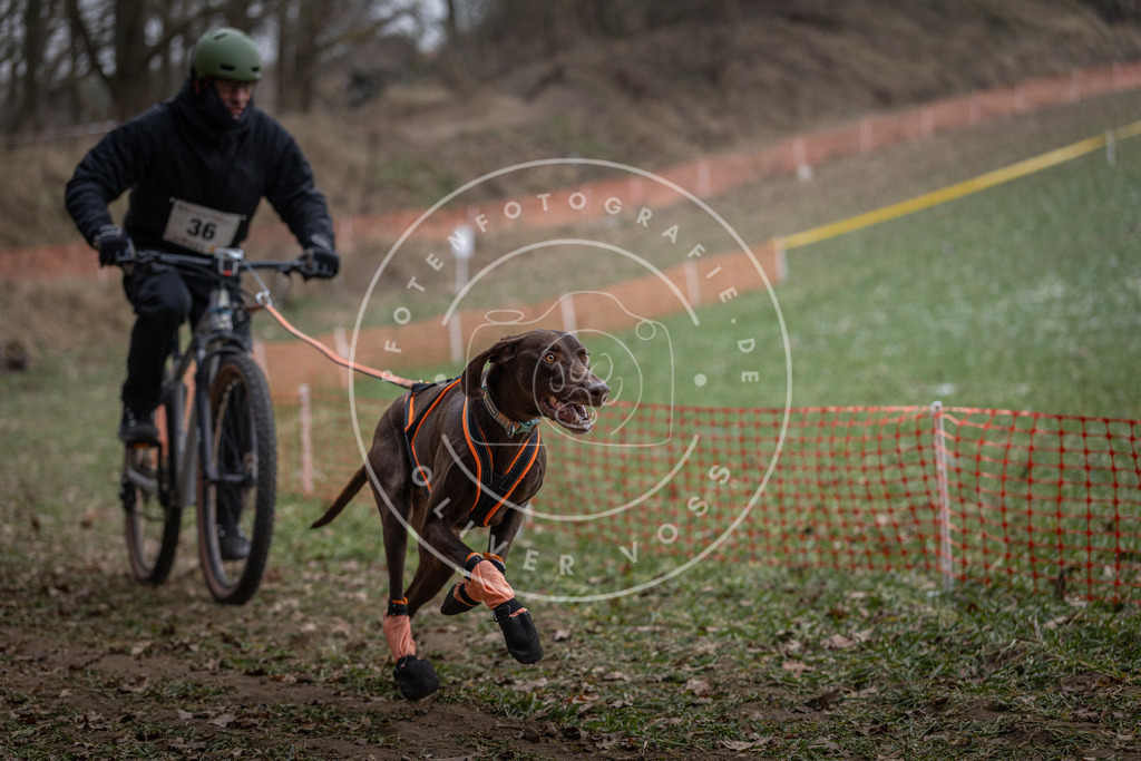 Pfotenfotografie_DV3A9742 | Hundefotografie, Tierfotograf, Pfotenfotografie, Fotoshooting Hund, Hunde Portrait, Hundesport, Hundeportraits, Heideshooting, Hunde, Sportfotograf, Hundefotograf, Turnierhundsport, THS,  - Realisiert mit Pictrs.com