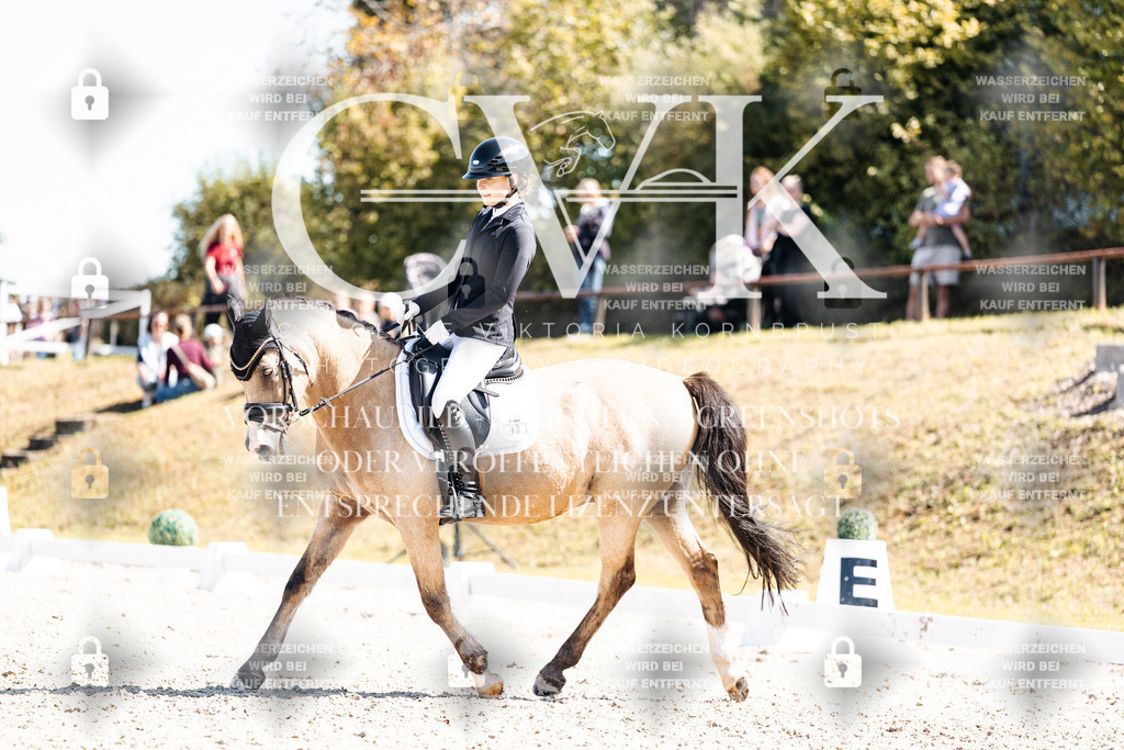 CK903807 | Turnierfotografie Pferdefotografie Trier Rheinland-Pfalz Pferdesport Reitsport Tierfotografie Sportfotografie Pferdevideo Pferdevideografie Equestrianvideography equestrianphotography  - Realisiert mit Pictrs.com