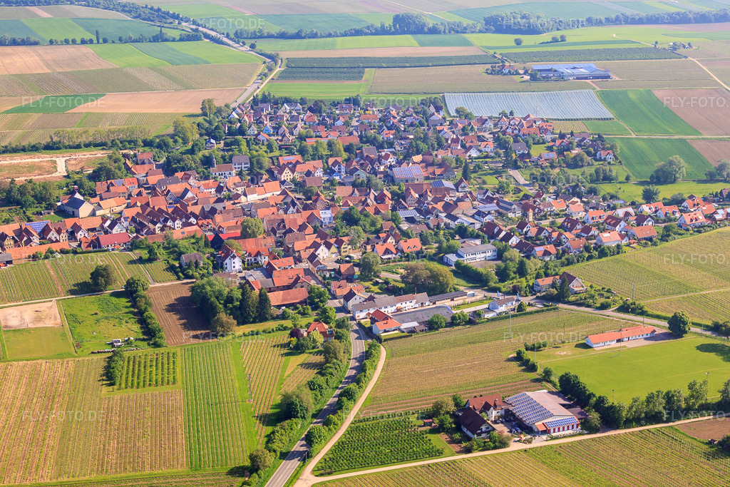 Luftbild: Dorfansicht von Südwesten in Impflingen im Bundesland Rheinland-Pfalz in Deutschland. Foto: IMG_27107.jpg vom 23.05.2010 durch Werner Riehm/FLY-FOTO.de