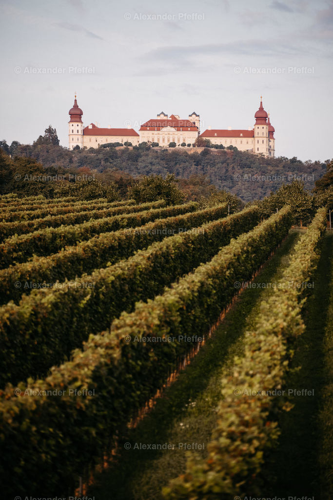 goettweig_umgebung_c_alexander_pfeffel-8521 | alexander-pfeffel - Realisiert mit Pictrs.com