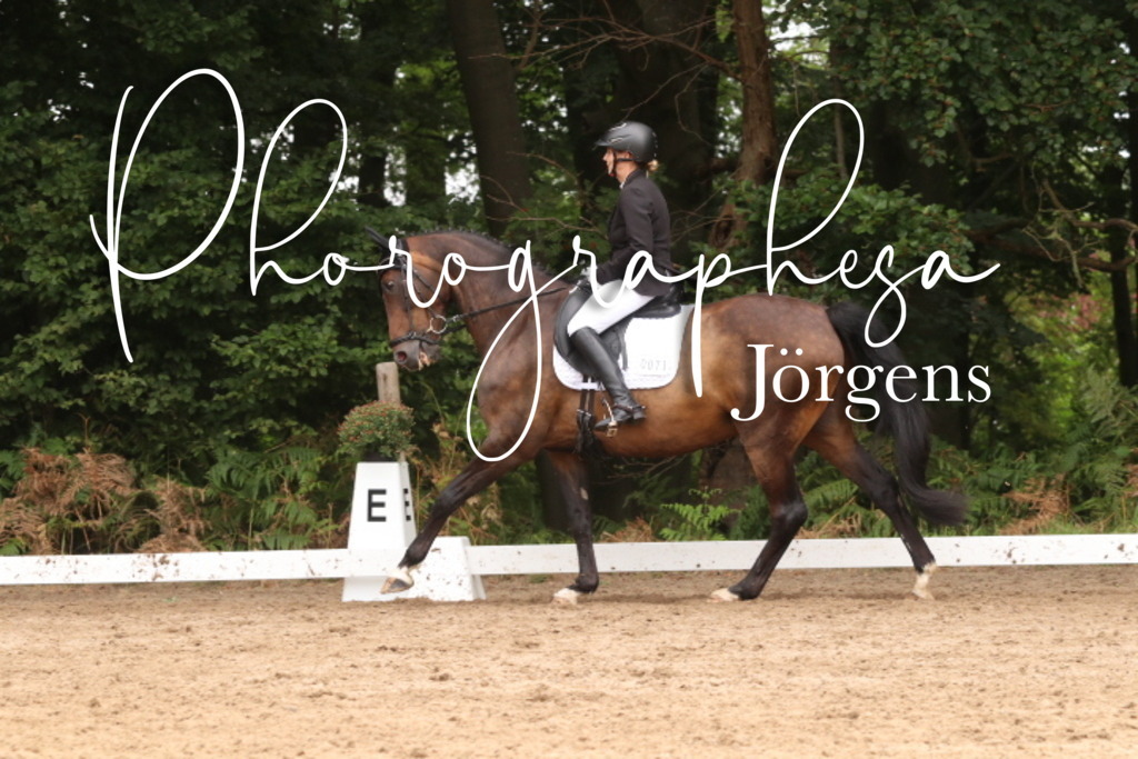 IMG_9786 | photographesa-joergens - Realisiert mit Pictrs.com