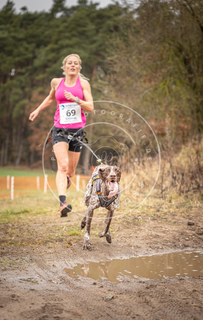 DV3A0130 | Hundefotografie, Tierfotograf, Pfotenfotografie, Fotoshooting Hund, Hunde Portrait, Hundesport, Hundeportraits, Heideshooting, Hunde, Sportfotograf, Hundefotograf, Turnierhundsport, THS,  - Realisiert mit Pictrs.com