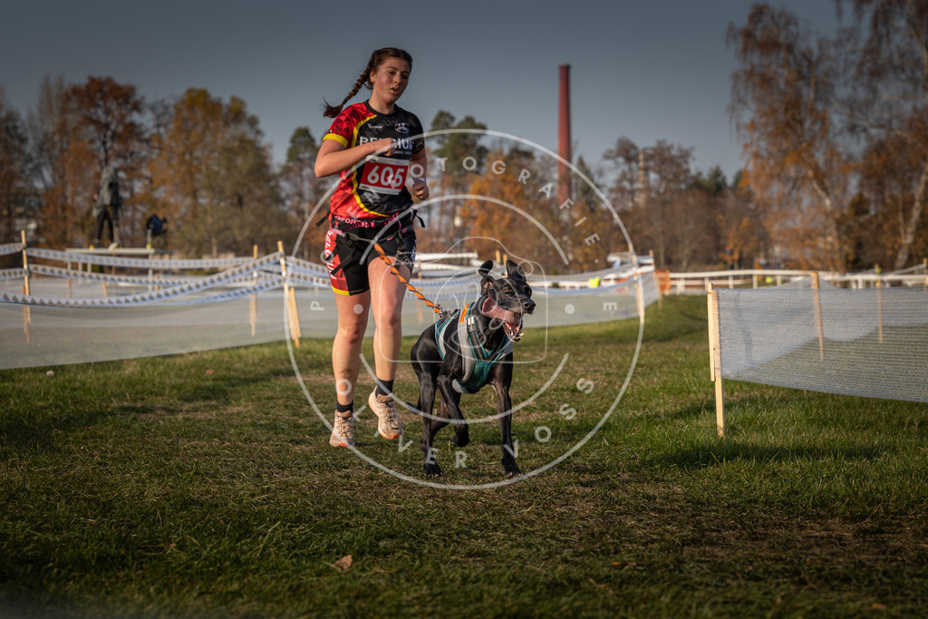CaniXpix_0L8A0138 | Hundefotografie, Tierfotograf, Pfotenfotografie, Fotoshooting Hund, Hunde Portrait, Hundesport, Hundeportraits, Heideshooting, Hunde, Sportfotograf, Hundefotograf, Turnierhundsport, THS,  - Realisiert mit Pictrs.com