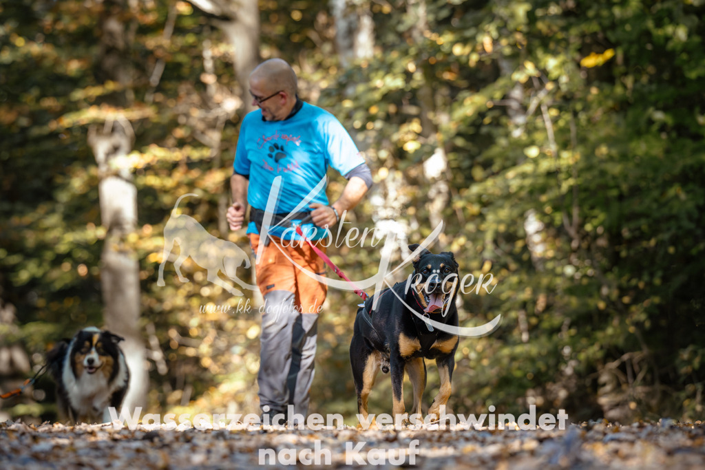 1139_ZZ92977 | kk-dogfotos
