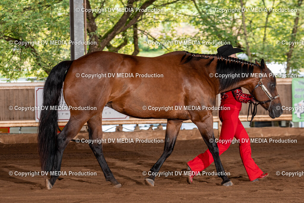 Erbach Tag 3-143 | dv-media-shop - Realisiert mit Pictrs.com