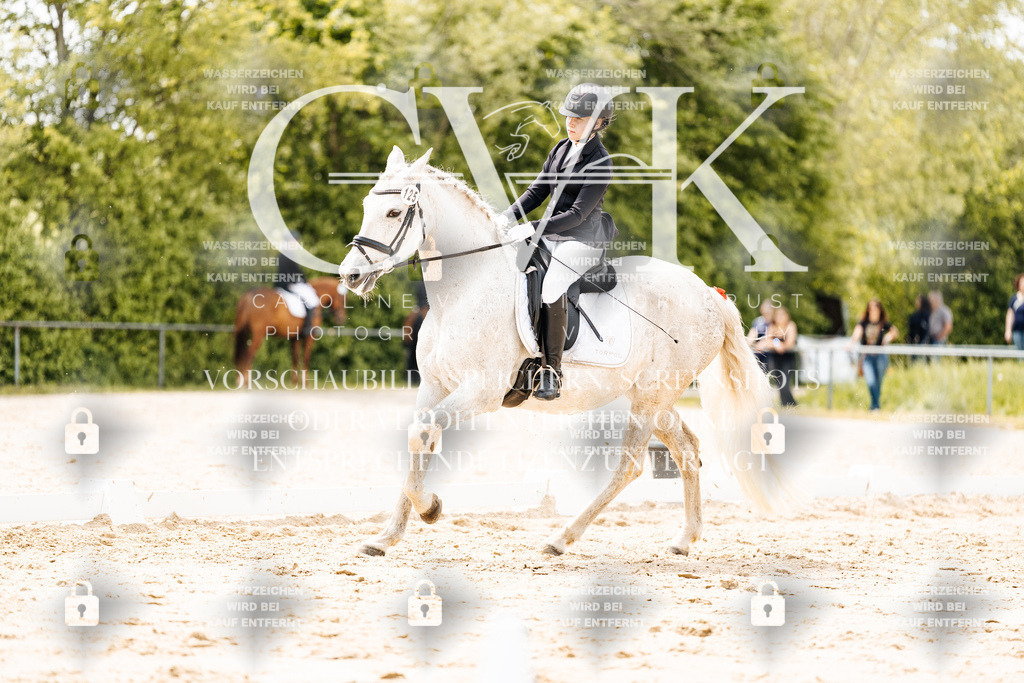 CK902551 | Turnierfotografie Pferdefotografie Trier Rheinland-Pfalz Pferdesport Reitsport Tierfotografie Sportfotografie Pferdevideo Pferdevideografie Equestrianvideography equestrianphotography  - Realisiert mit Pictrs.com