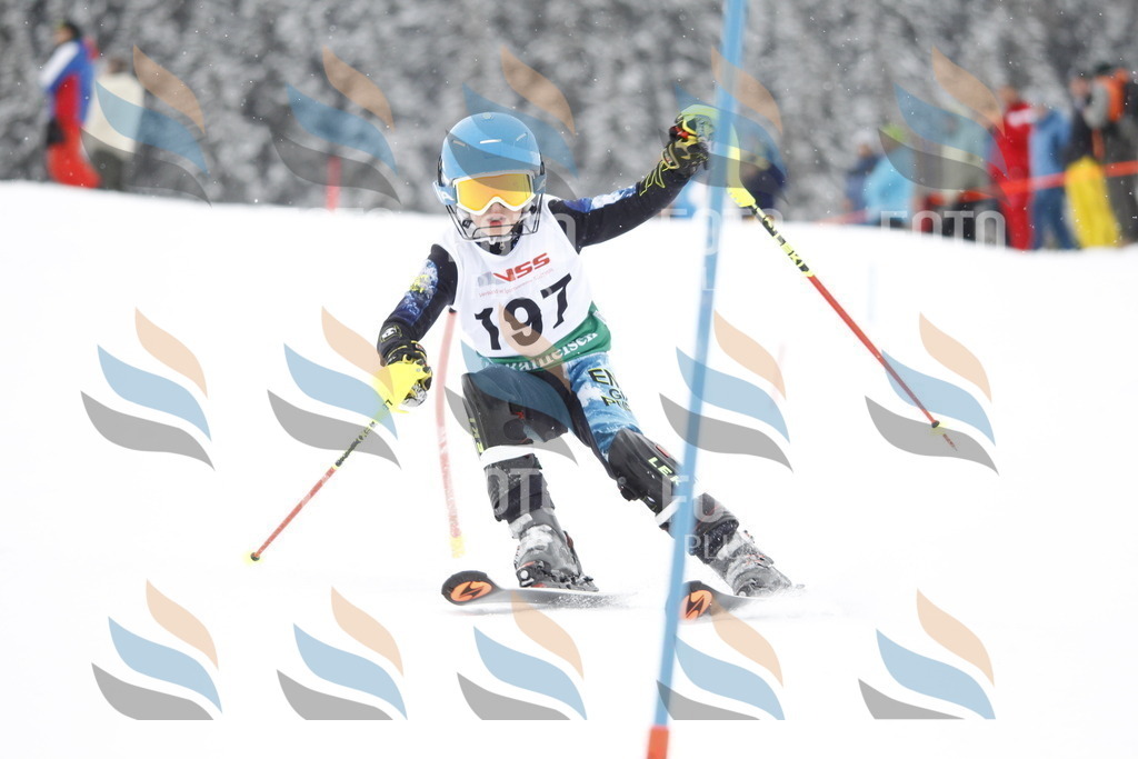 A2031 | holidayphoto