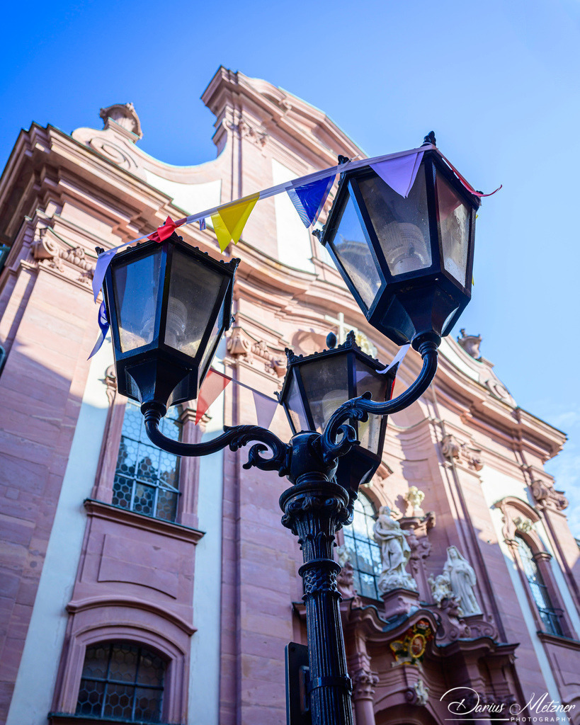 DSC_9566 | Fotografien, Fotos und Bilder aus Mainz, Frankfurt, Wiesbaden und anderen Orten auf der Welt - Fotografiert von Darius Metzner